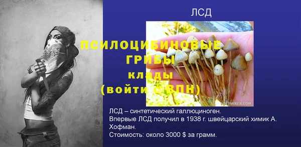 Альфа ПВП Ладушкин